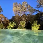 Aria Cigala