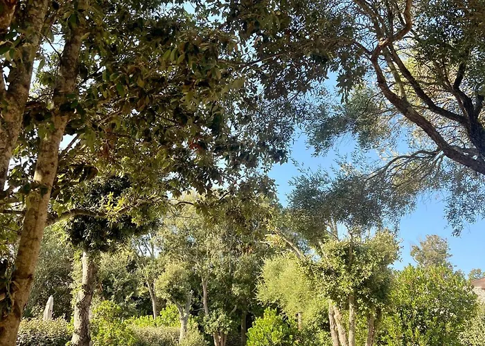 Aria Cigala 4* Bonifacio (Corsica)