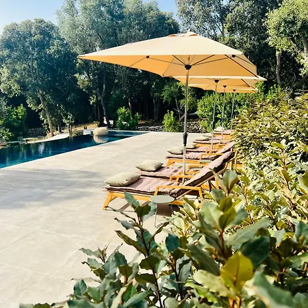 Aria Cigala فندق