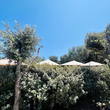 Aria Cigala מלון