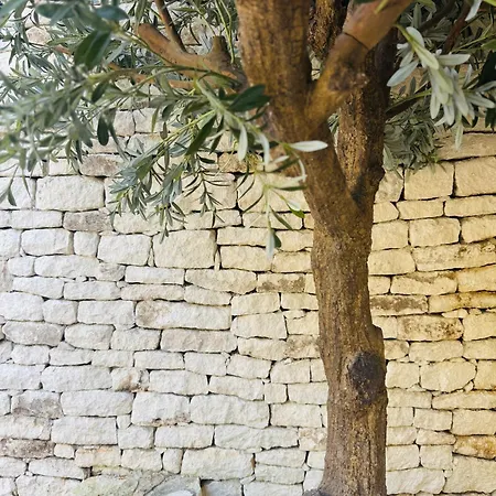 מלון Aria Cigala *