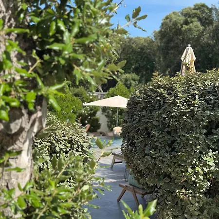 Aria Cigala Bonifacio (Corsica)