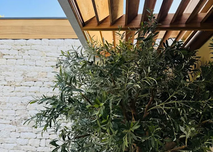 Aria Cigala Hotel Bonifacio (Corsica)